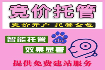 谷歌竞价案例：成功案例分析及启示
